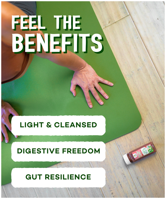 Gut Fiber Sample Trial Box
