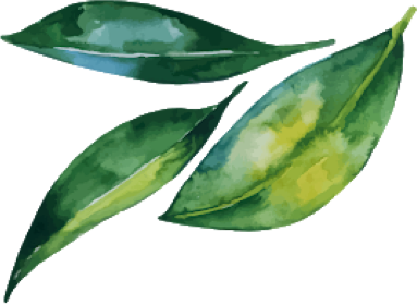 watercolour leaves