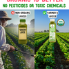 Juice Cleanse Box