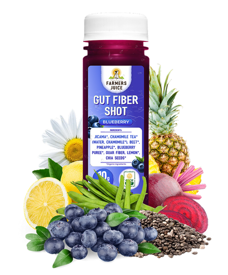 Gut Fiber Shot Blueberry