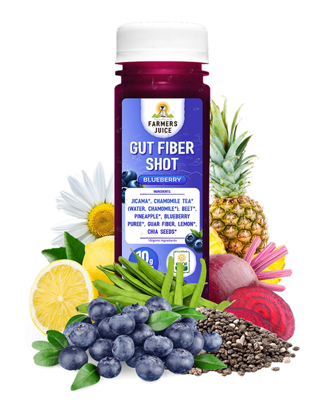 Gut Fiber Shot Blueberry