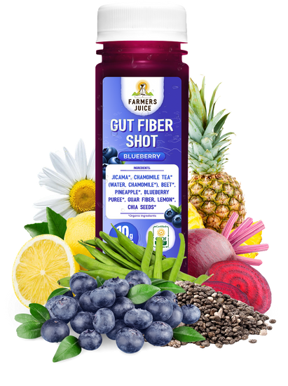 Gut Fiber Shot Blueberry