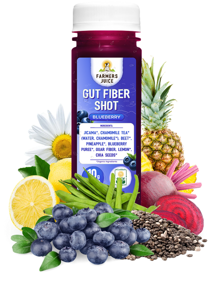Gut Fiber Shot Blueberry
