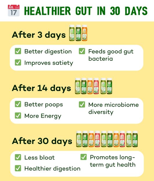 Gut Fiber Shot Box