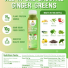 Daily Smoothie Box