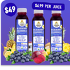 Blueberry Chamomile - 7 Pack
