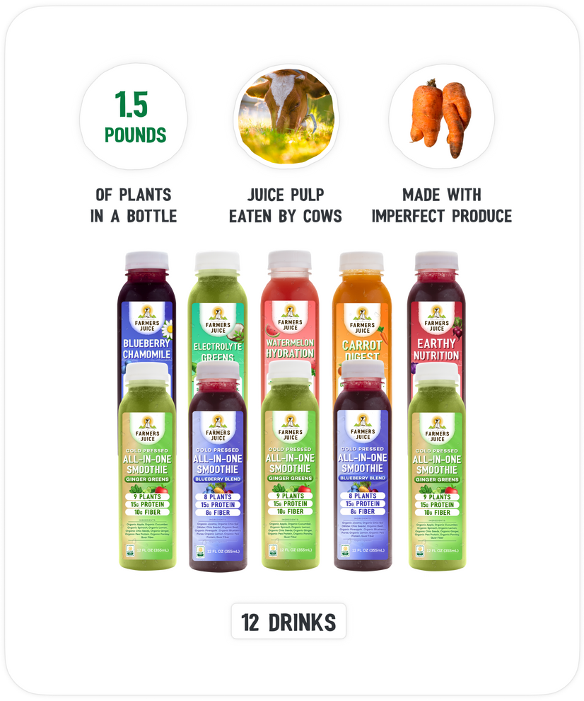 Daily Smoothie Box