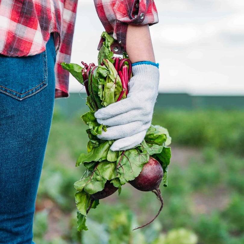 Farm-to-juice